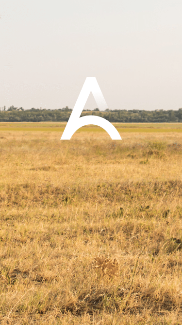 arch_screen_03