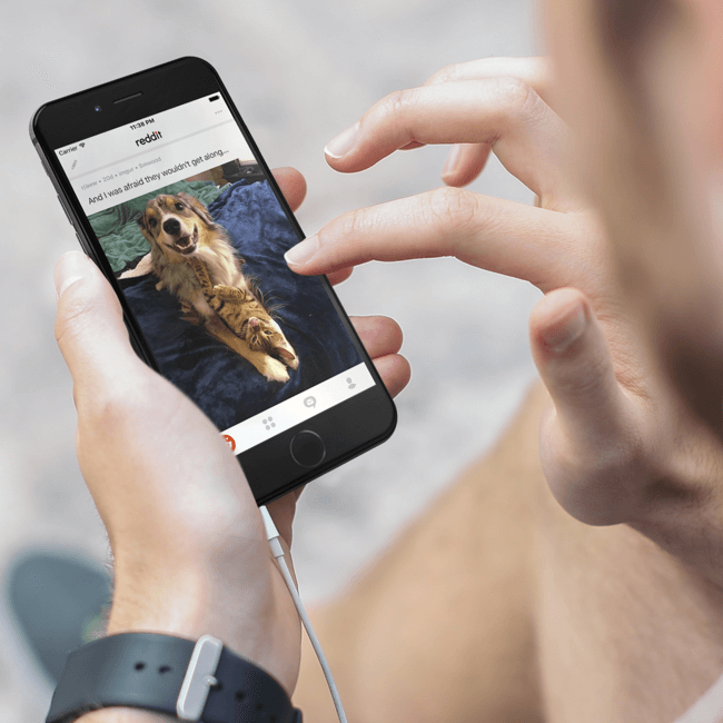 reddit_portfolio_image_10